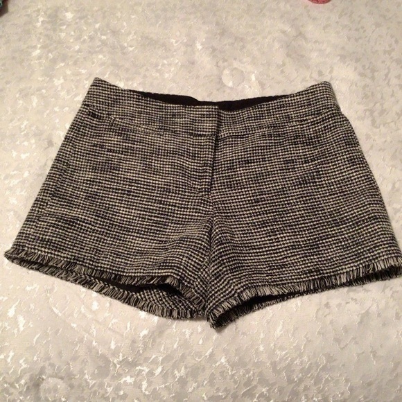 Ann Taylor Signature Short - Picture 1 of 6